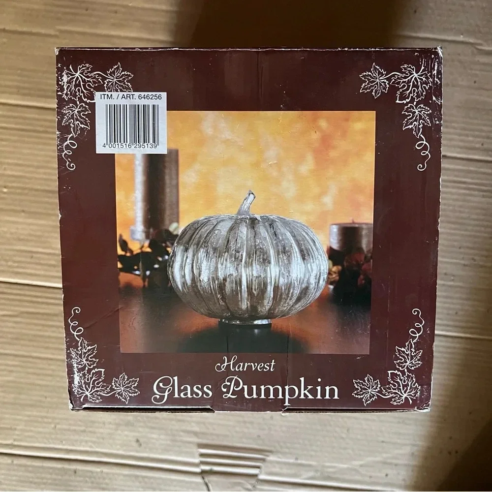New Open Box Silver Mercury Glass Pumpkin Autumn Halloween Fall Seasonal Decor